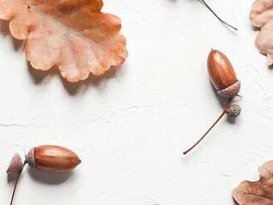 Auto generated site lighting store